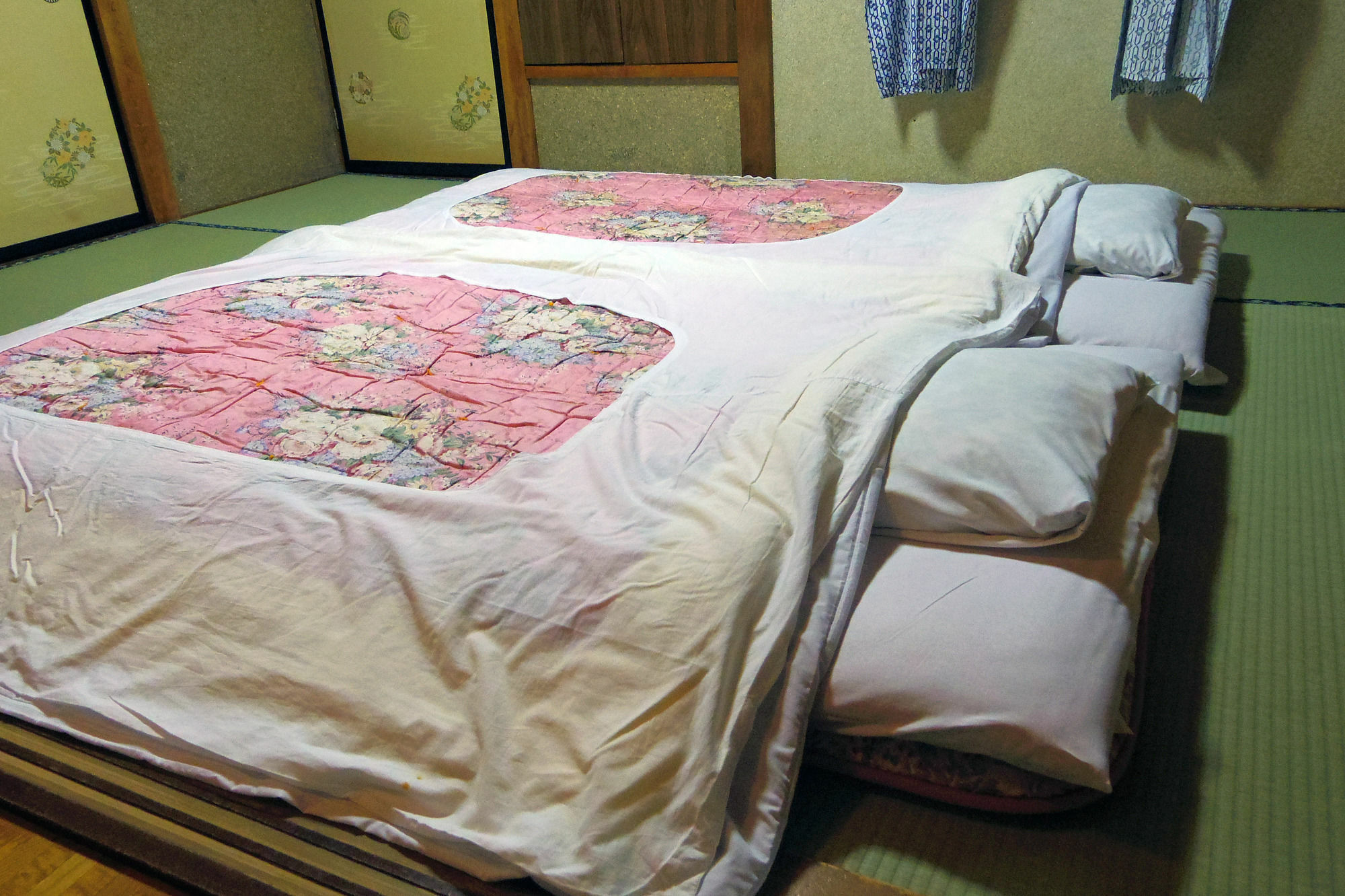 Zero-Project Japan Guesthouse Yamanakako Ngoại thất bức ảnh