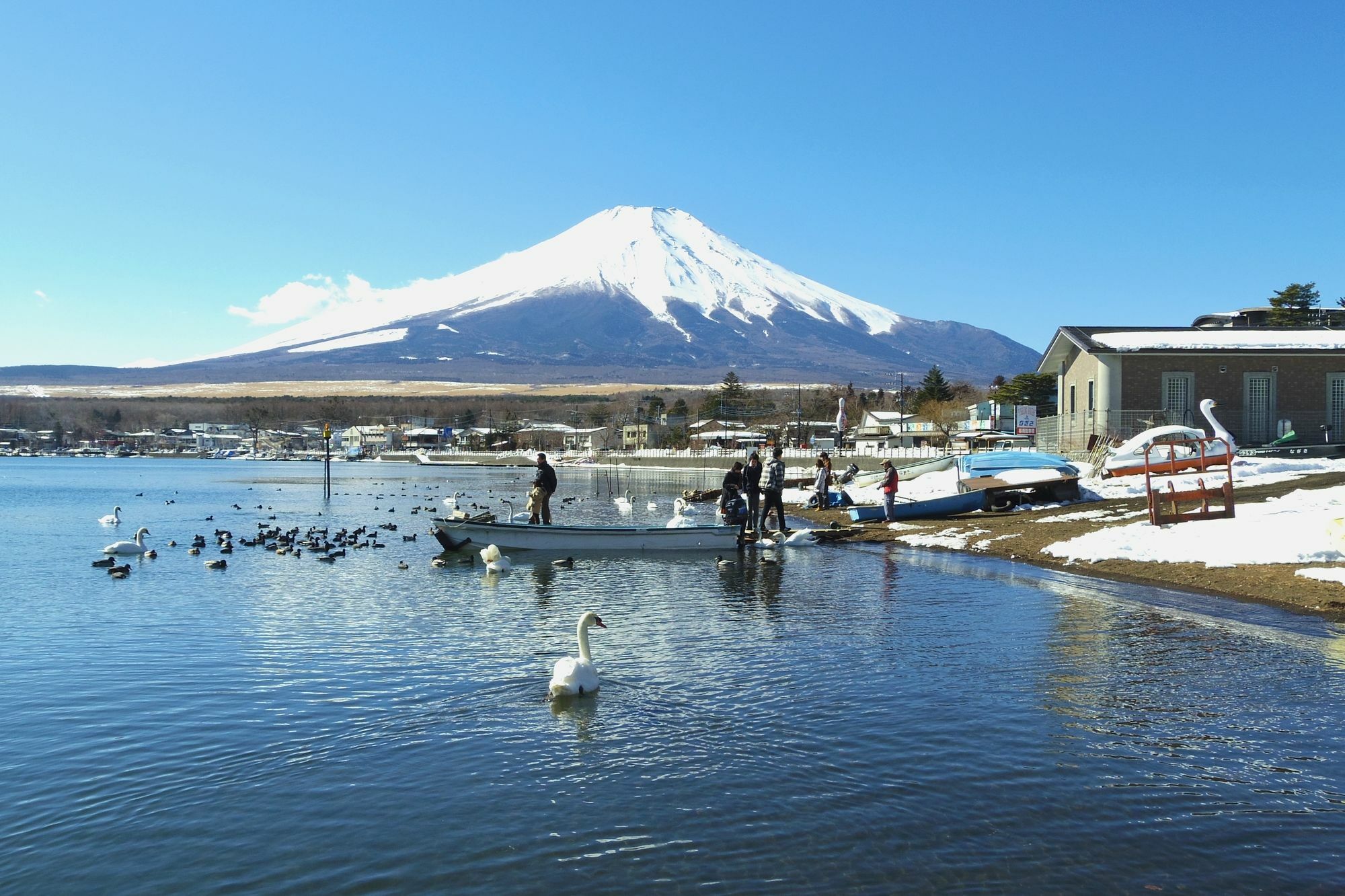 Zero-Project Japan Guesthouse Yamanakako Ngoại thất bức ảnh